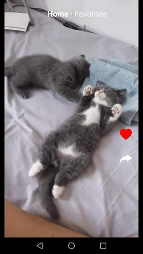 Kit Kot : Funny Cat Videos screenshot 2