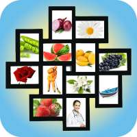 My Picture Library