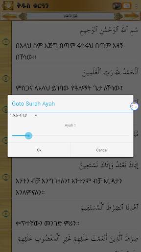 AMHARIC QURAN PRO screenshot 4