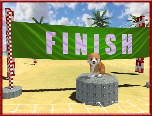 Cat Dog Pets Beach Stunts Sim screenshot 15