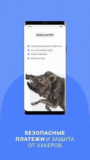 Кабанчик VPN screenshot 4