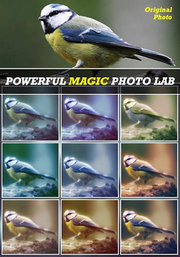 Magic Photo Lab Effect screenshot 2