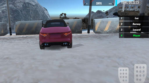 Fast racing cars screenshot 1