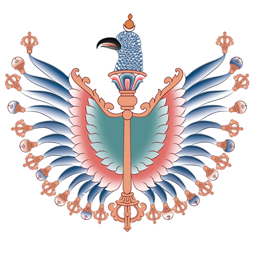 Desuung App icon