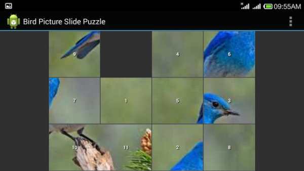 Bird Jig Saw Puzzle screenshot 2