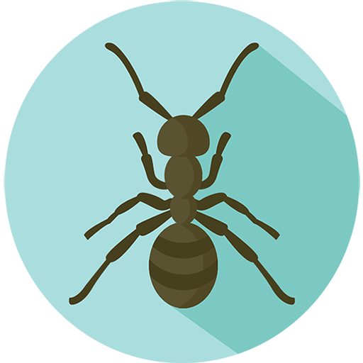 Cut the Ants Rope: Take them Home icon
