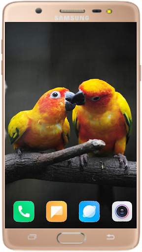 Bird Wallpaper Best HD स्क्रीनशॉट 12