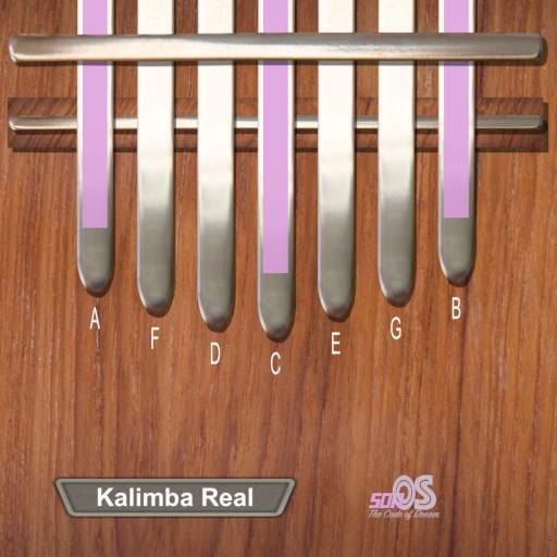 Kalimba Real 2.8