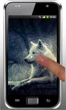 Wolves Night live wallpaper screenshot 5