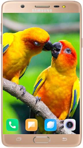 Bird Wallpaper Best HD स्क्रीनशॉट 4