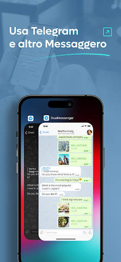 Dual Messenger Web screenshot 3