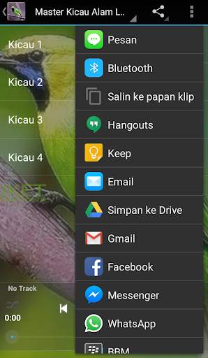 Master Kicau Cucak Ijo screenshot 2