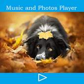 Music Player and Photo frame 13.0.2