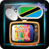 Channel Sat TV Tanzania logo