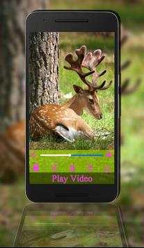 max Player Pro screenshot 6