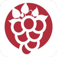 Vineyard CC icon