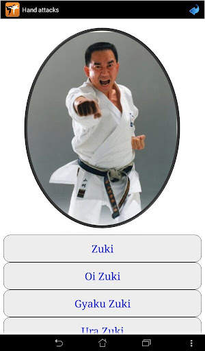 Karate in brief screenshot 16