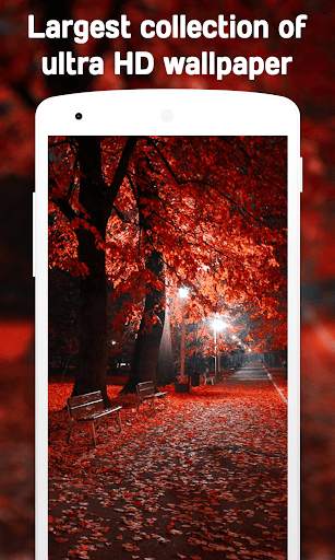 Autumn Wallpaper (4k) screenshot 21