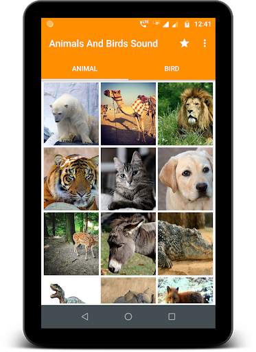 Animals and Birds Sound स्क्रीनशॉट 7