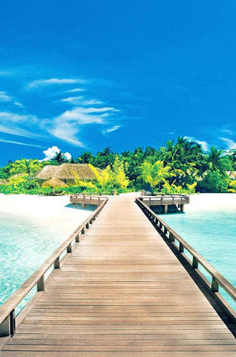 Summer Wallpaper screenshot 1