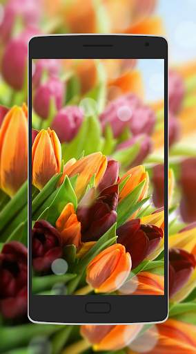 Flower Wallpaper screenshot 1