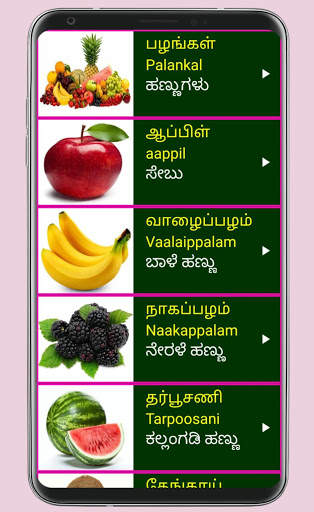 Learn Tamil From Kannada screenshot 7