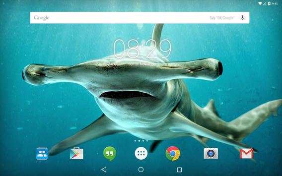 Pig Tiger Shark Turtle screenshot 8