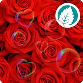 Rose Live Wallpaper 4.0