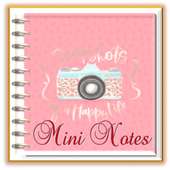 mini diary notes