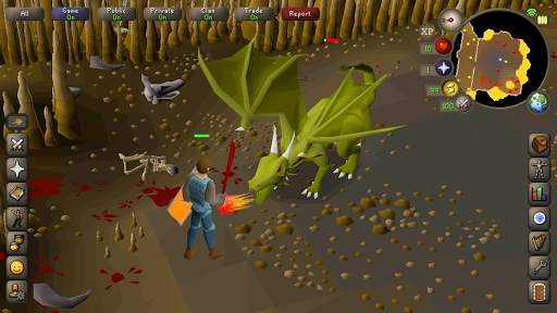 Old School RuneScape screenshot 8