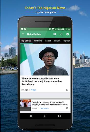 Naija Dailies screenshot 1
