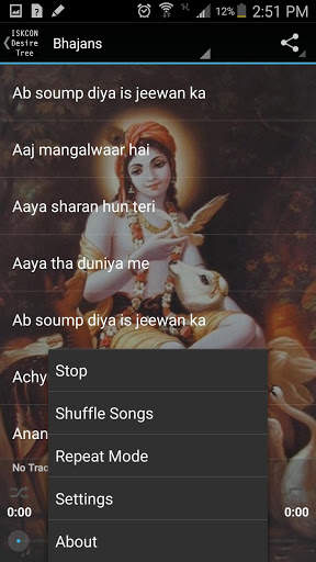 Krishna Bhajan Hindi screenshot 4