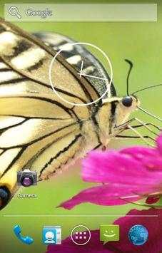 Butterfly Live Wallpaper screenshot 6