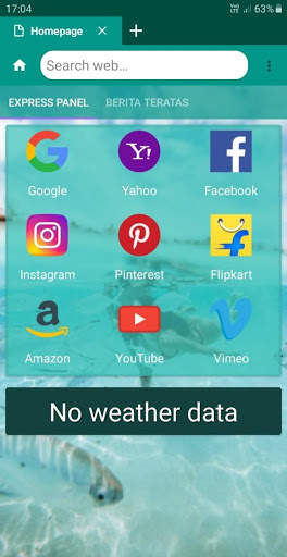 Privacy Browser screenshot 2