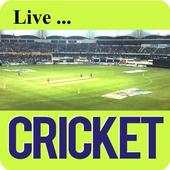 Cricket TV & IPL T20  2017 1.0