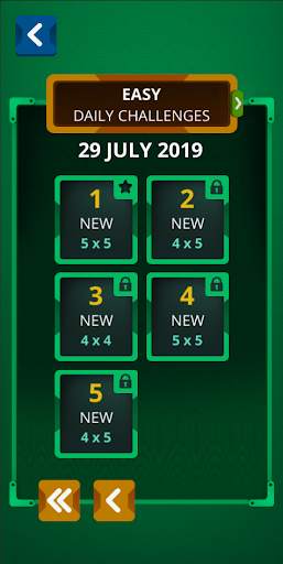 Einstein's Riddle Logic Puzzle screenshot 5