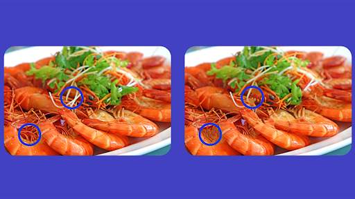 Spot The Differences Game screenshot 28