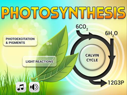 Biology Photosynthesis screenshot 7