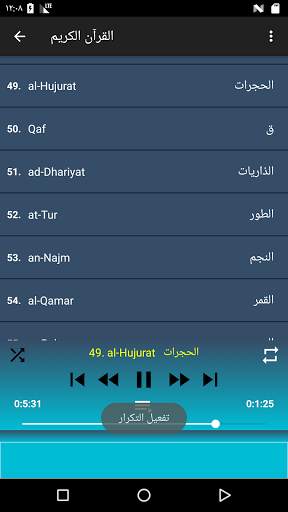 علي الحذيفي القرآن كامل وتصفح بدون نت скриншот 4