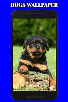 Dogs Wallpaper 1 تصوير الشاشة