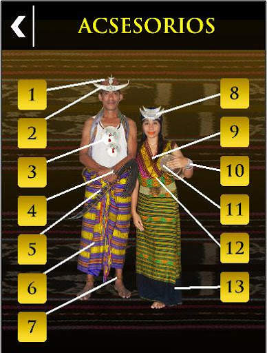Dansa Timor screenshot 5