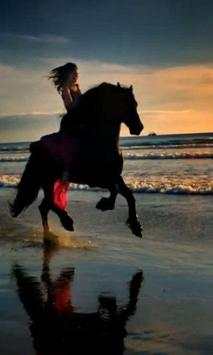 Horses live wallpaper screenshot 1