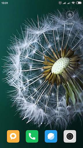 Dandelion Wallpaper HD screenshot 5