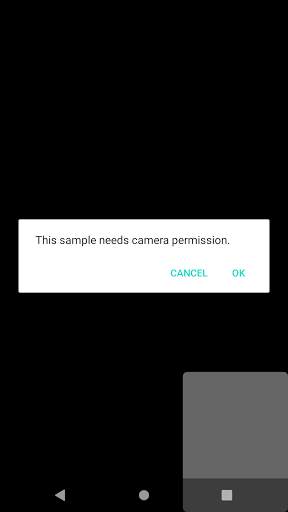 Front and rear camera screenshot 1