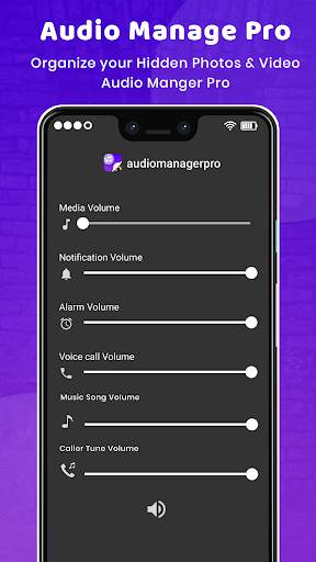 Audio Manager Vault - Hide photos, videos screenshot 5