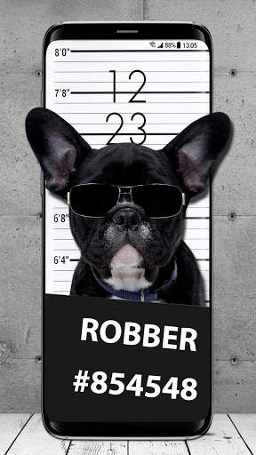 Cool Dog APUS Live Wallpaper screenshot 3