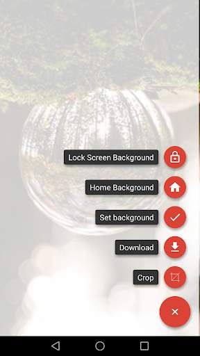 Best Wallpaper screenshot 3