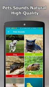 Animal and Bird Sounds Offline screenshot 7
