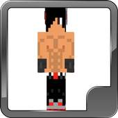Master skins for Minecraft 1.0