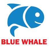 Blue Whale Game